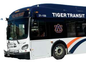 au_tiger_transit_air_bnb